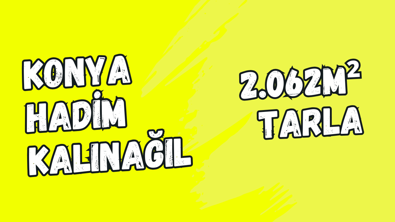 Fotoğraf